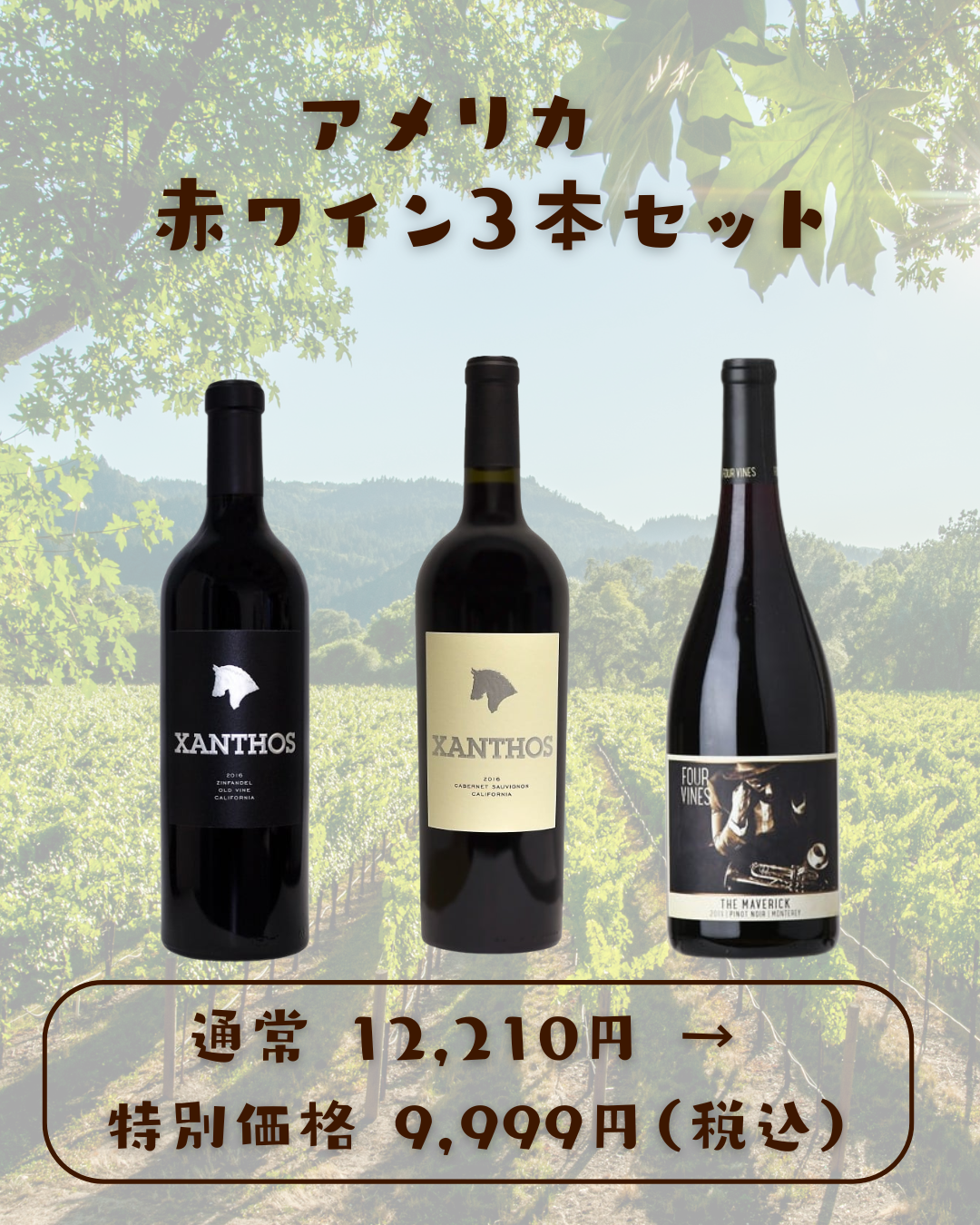 カリフォルニア・赤ワイン 3本セット – Wine Base Les Coeurs